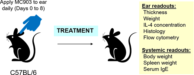 Model diagram