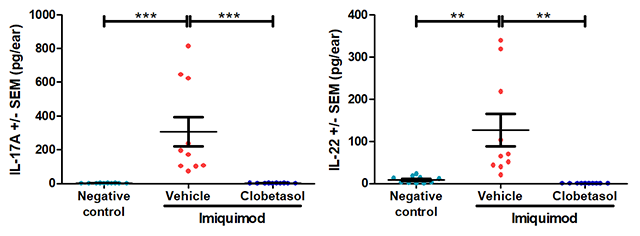 IL-17A and IL-22 concentration in ear homogenate (results)